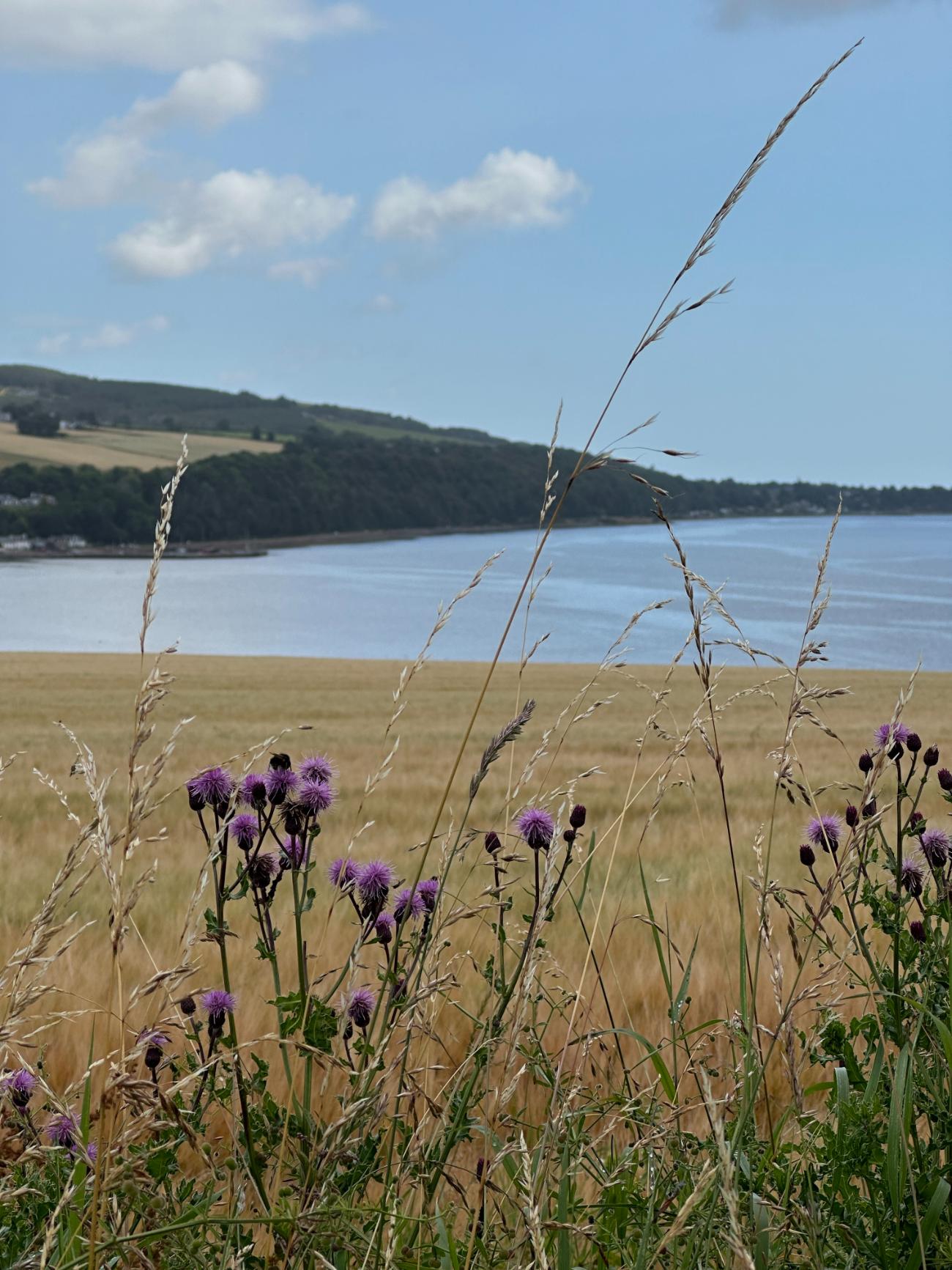 Hunting for History on the Black Isle